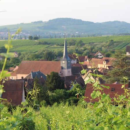 A L'Oree Des Vignes, Superbe Logement De 80 M2 Wangen Екстер'єр фото