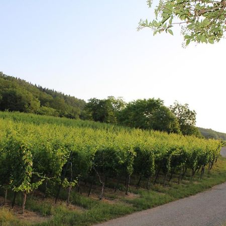 A L'Oree Des Vignes, Superbe Logement De 80 M2 Wangen Екстер'єр фото