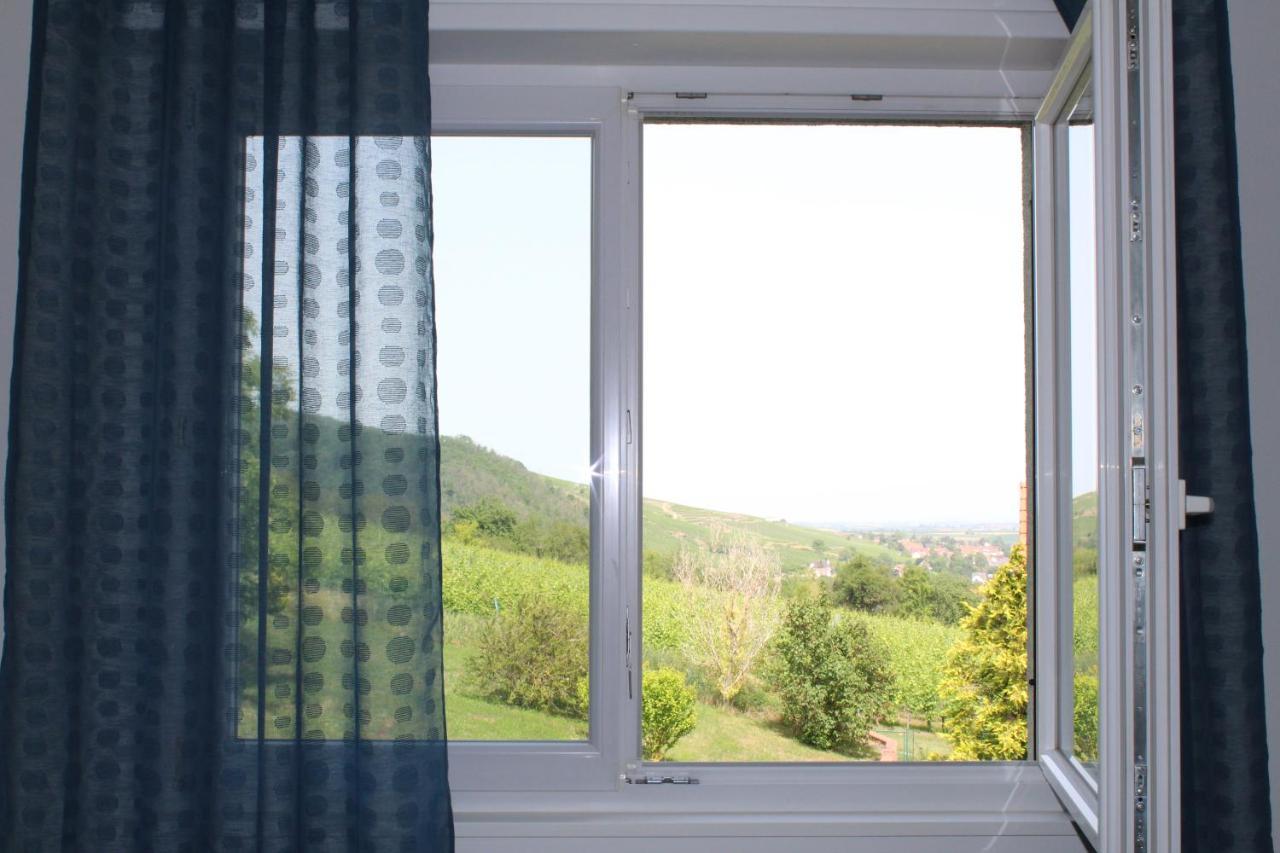 A L'Oree Des Vignes, Superbe Logement De 80 M2 Wangen Екстер'єр фото