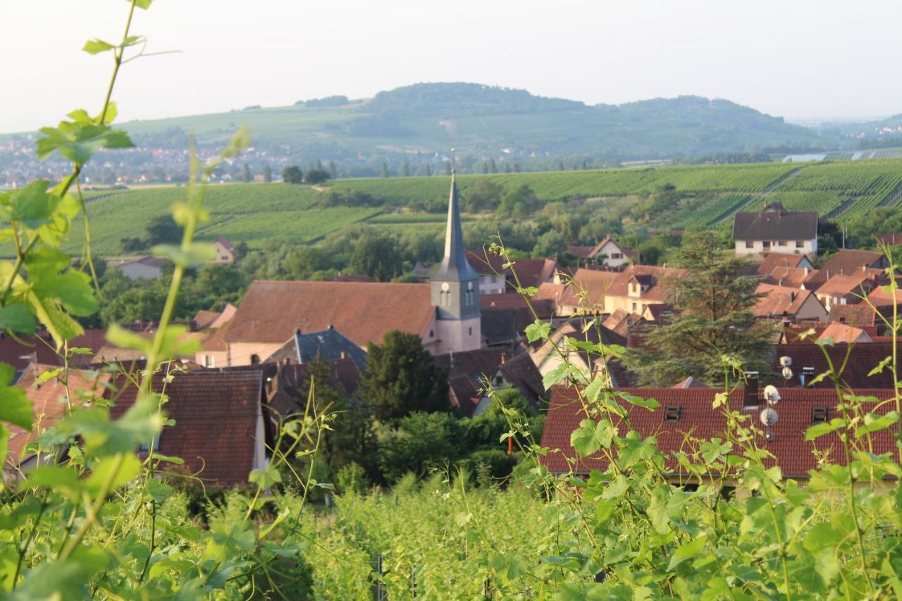 A L'Oree Des Vignes, Superbe Logement De 80 M2 Wangen Екстер'єр фото