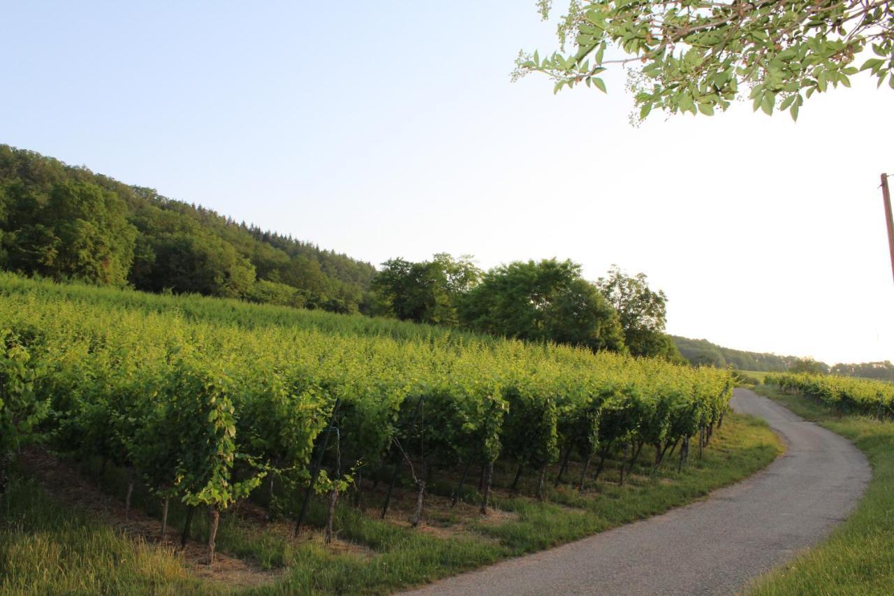 A L'Oree Des Vignes, Superbe Logement De 80 M2 Wangen Екстер'єр фото